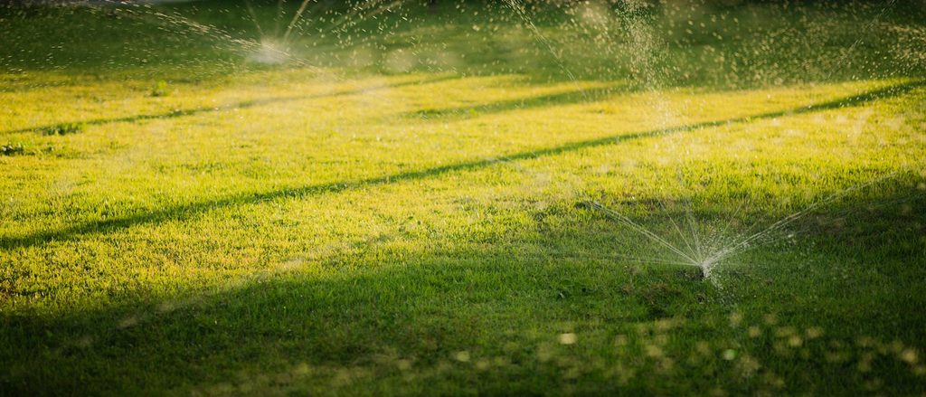 Low pop-up sprinklers watering a green lawn in warm evening light.